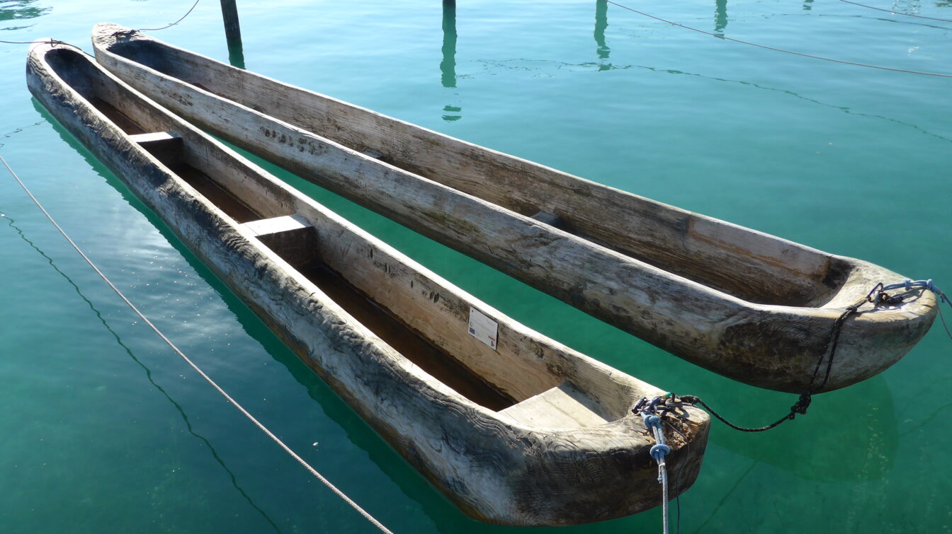 Einbaeume im ruhigen Wasser