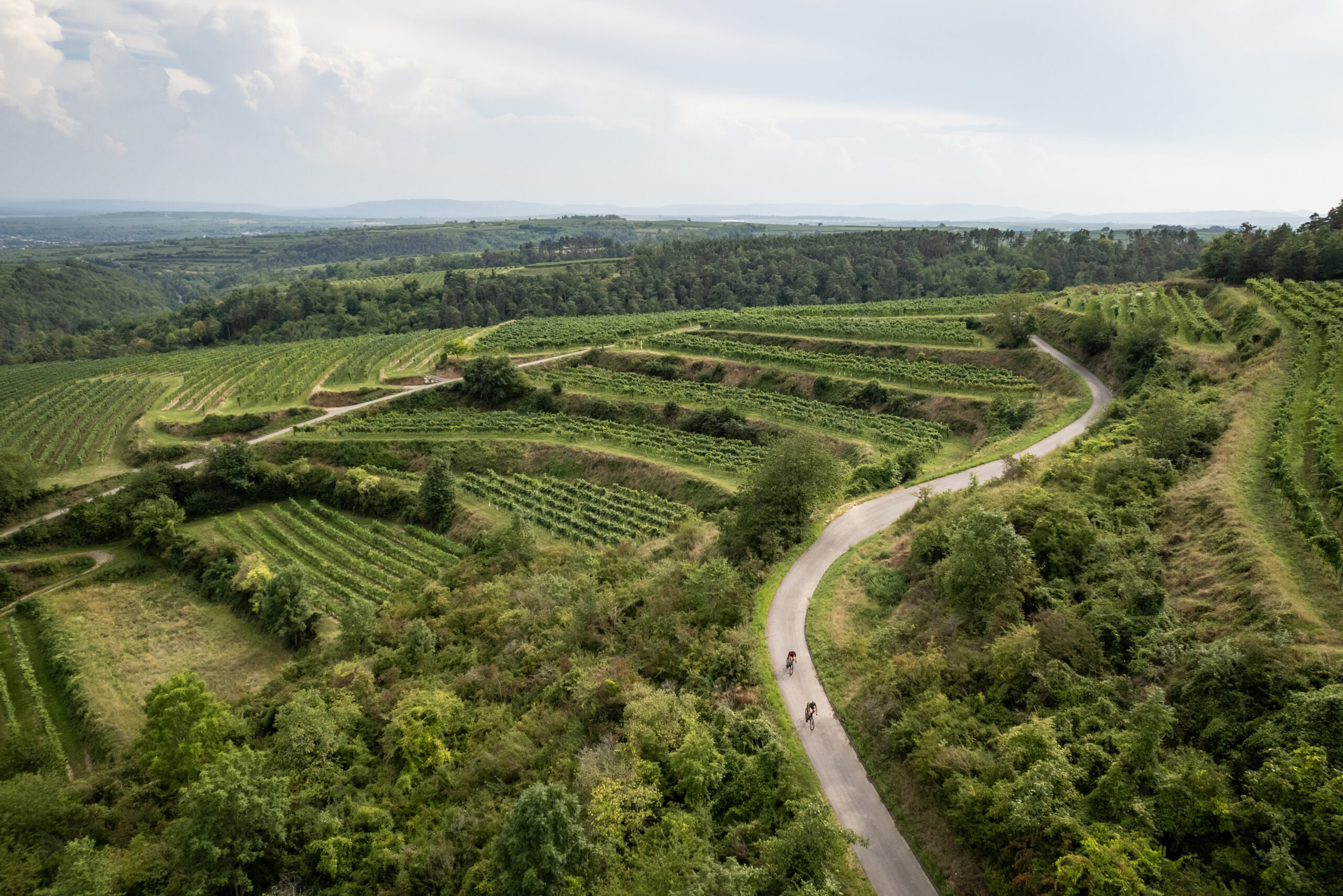 Langenlois von oben mit Radwegen zwischen Weinreben 