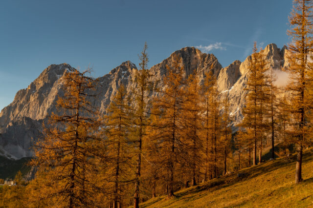 Das Dachsteinmassiv im Herbst