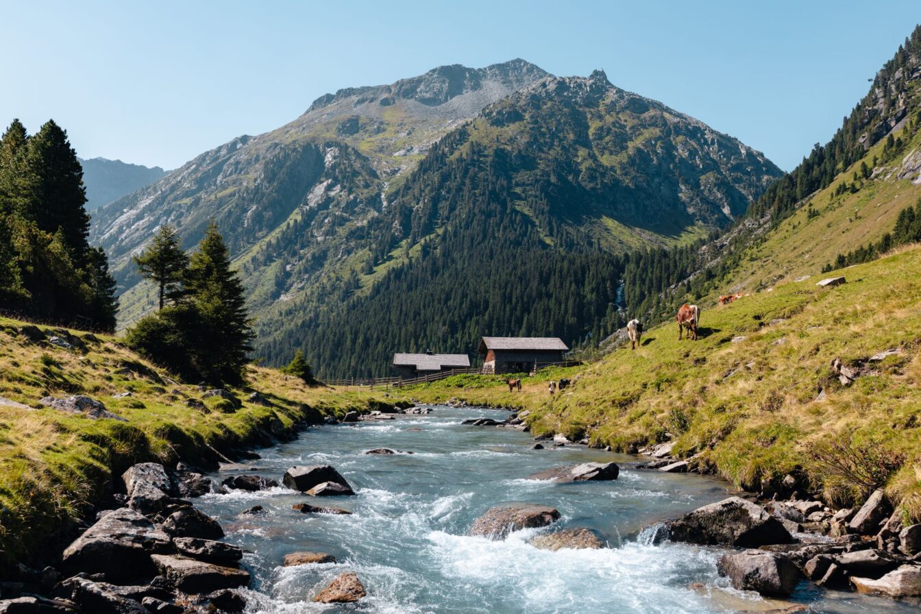 Ein wilder Bach in einem grünen Tal umgeben von Bergen und Wiesen