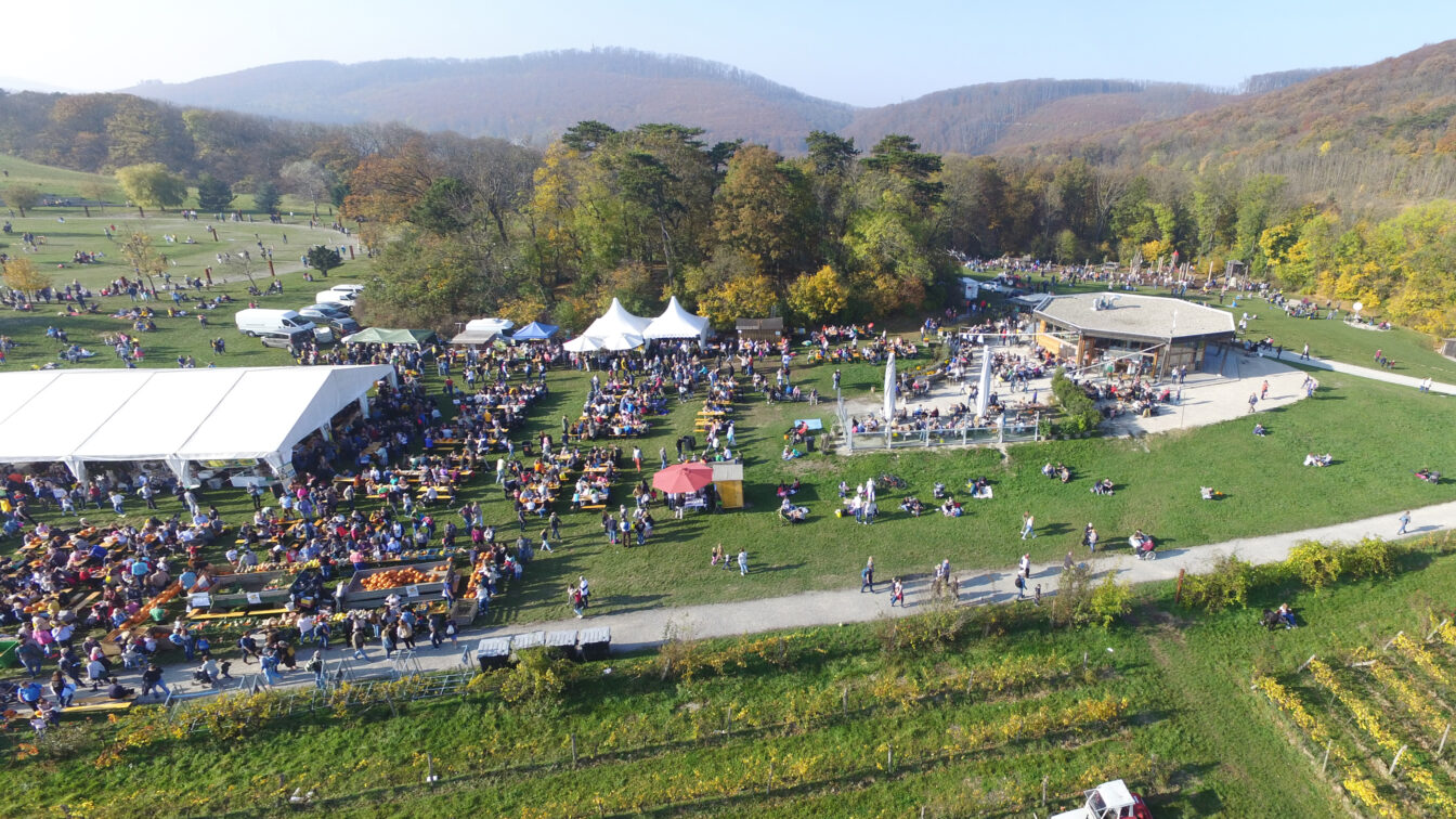Panorama-Bild vom Kürbisfest am Himmel in Wien - Zelt mit vielen kleinen Menschen auf einer großen Wiese