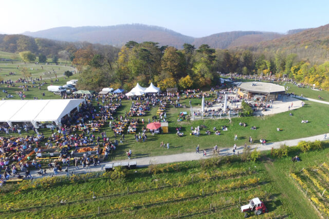 Panorama-Bild vom Kürbisfest am Himmel in Wien - Zelt mit vielen kleinen Menschen auf einer großen Wiese
