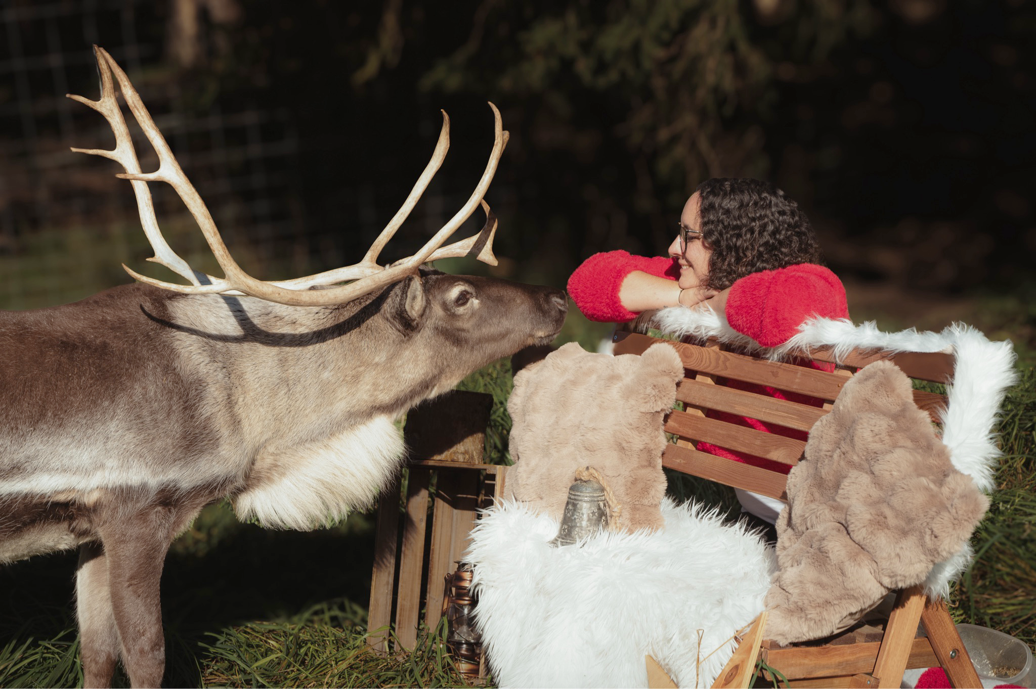 Rentiere in Erzberg-Leoben