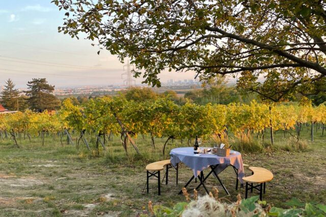 Ein Bild von der Kellergasse in Stammersdorf, wo ein Weinfest stattfindet