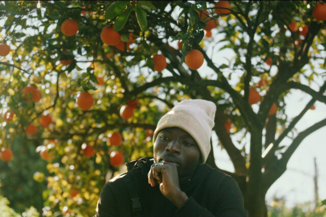 Ein Filmstill aus dem Programm von Hunger.Macht.Profite., das einen Mann vor einem Orangenbaum zeigt.