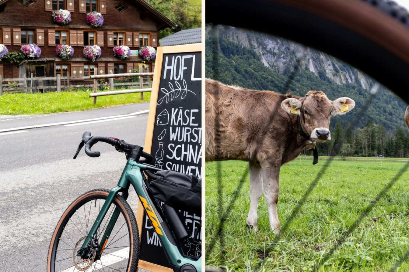 Links ein Fahrrad vor einer Tafel, die regionale Produkte wie Käse, Wurst und Schnaps an einem Hofladen im Bregenzerwald anpreist, im Hintergrund ein traditionelles Holzhaus mit Blumenschmuck. Rechts eine braune Kuh auf einer grünen Wiese, fotografiert durch die Speichen eines Fahrrads, mit Bergen im Hintergrund