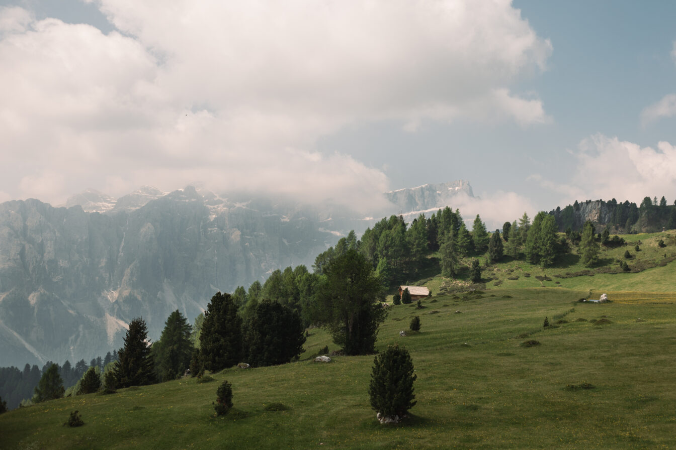 Grüne Almwiese mit vereinzelten Bäumen und einer kleinen Holzhütte im Vordergrund; dahinter ein bewaldeter Hang und majestätische, teils von Wolken verdeckte Gebirgsgipfel