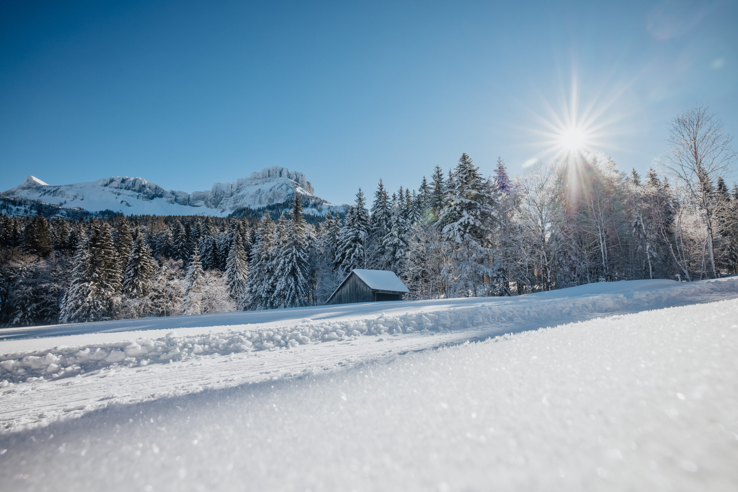 Winterwanderung Blaa Alm (c) TVB Ausseerland Salzkammergut_Katrin Kerschbaumer.jpg
