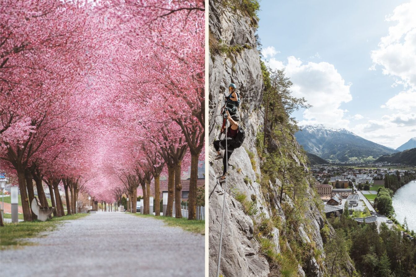 Links ein Blütenweg mit Kirschblüten, rechts zwei Kletterinnen an einer Felswand in Zams