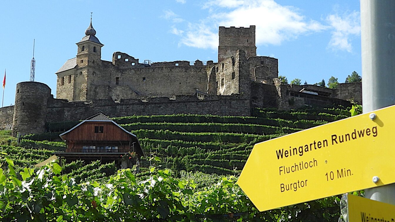Eine mittelalterliche Burgruine thront auf einem Hügel über terrassenförmig angelegten Weinbergen unter blauem Himmel. Im Vordergrund zeigt ein gelbes Wegweiserschild den „Weingarten Rundweg“ mit Hinweisen zu „Fluchtloch“ und „Burgtor (10 Min.)