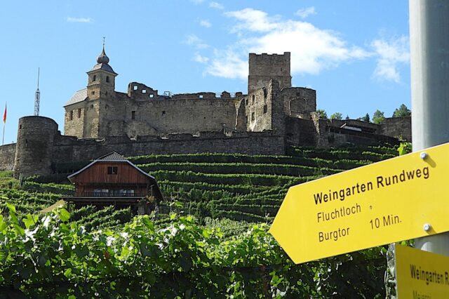 Eine mittelalterliche Burgruine thront auf einem Hügel über terrassenförmig angelegten Weinbergen unter blauem Himmel. Im Vordergrund zeigt ein gelbes Wegweiserschild den „Weingarten Rundweg“ mit Hinweisen zu „Fluchtloch“ und „Burgtor (10 Min.)