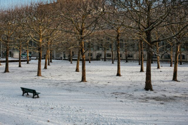 Winter in München im Hofgarten