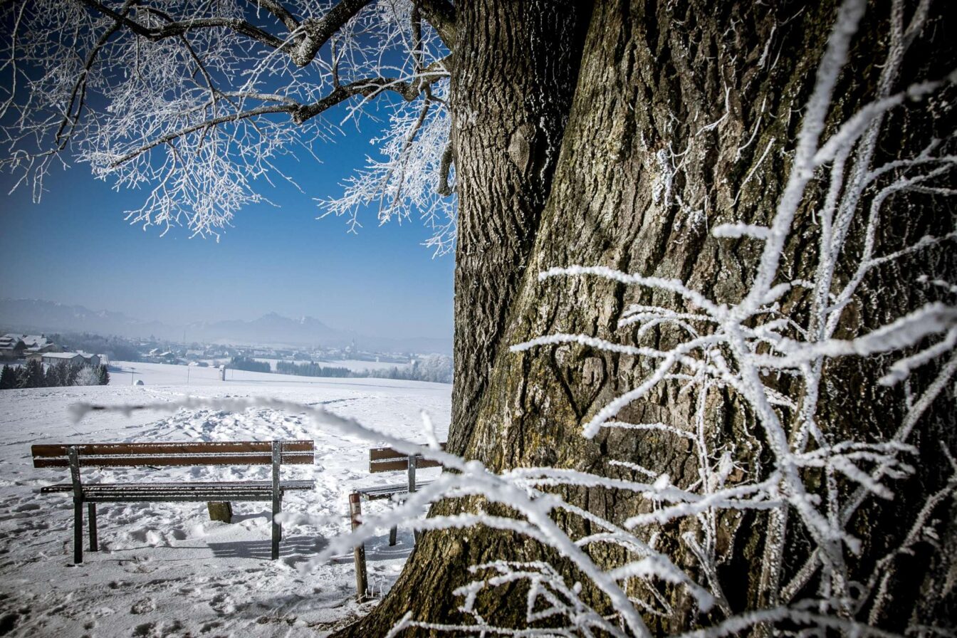 Fotoausstellung „Die Magie der kalten Jahreszeit“ im Heimatwerk Salzburg 2025