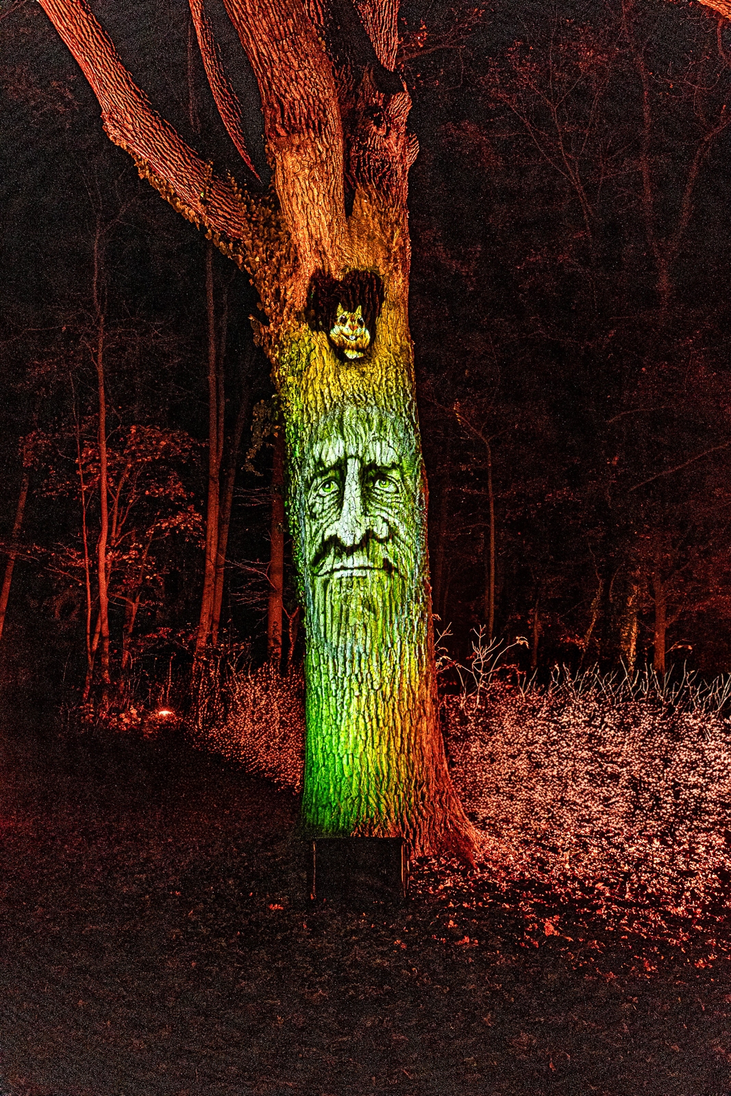 ILLUMINA im Schlosspark Laxenburg: Advent in Wien & Umgebung