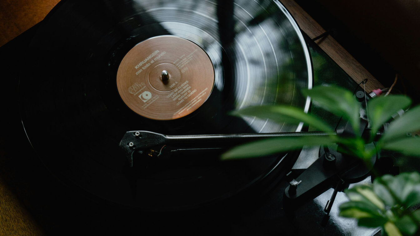Eine Platte auf Plattenspieler mit Pflanze