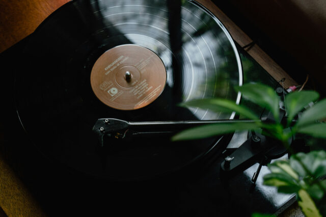 Eine Platte auf Plattenspieler mit Pflanze