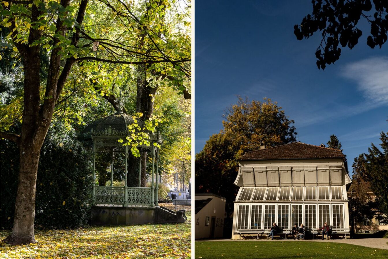 Grüner Park in Winterthur mit Pavillon und historischem Gartenhaus im herbstlichen Licht – ein ruhiger Ort zum Verweilen und eines der grünen Highlights der Stadt.