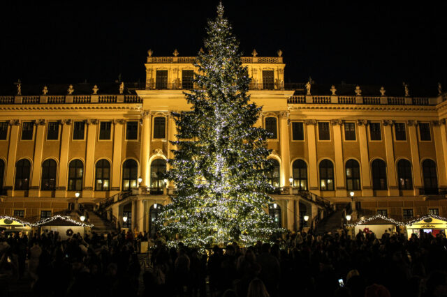 Der Weihnachtsbaum beim Christkindlmarkt am Schloss Schönbrunn
