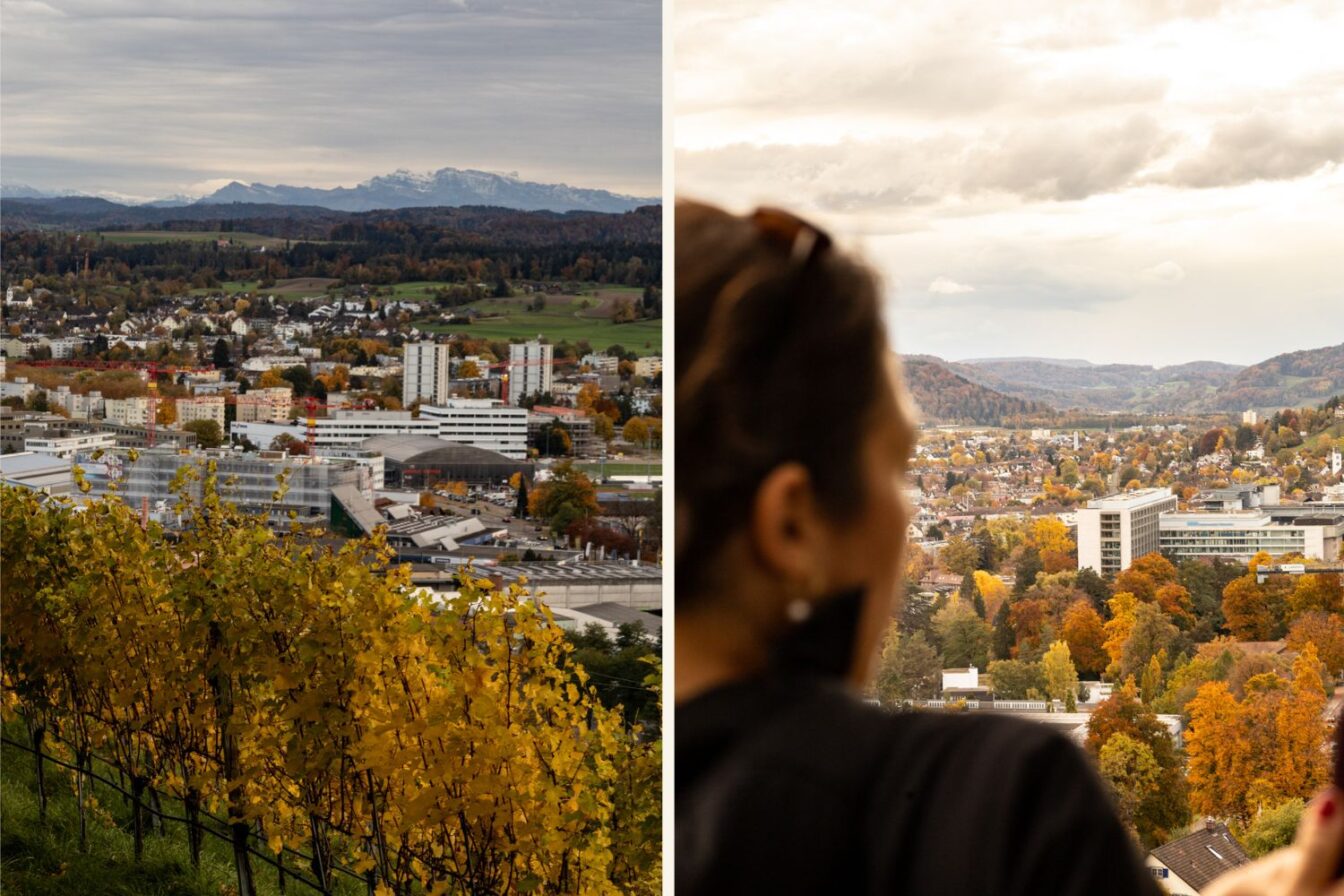 Weitblick über Winterthur mit herbstlich gefärbten Bäumen und Weinreben im Vordergrund – ein Panorama, das zu den schönsten Highlights der Stadt zählt.