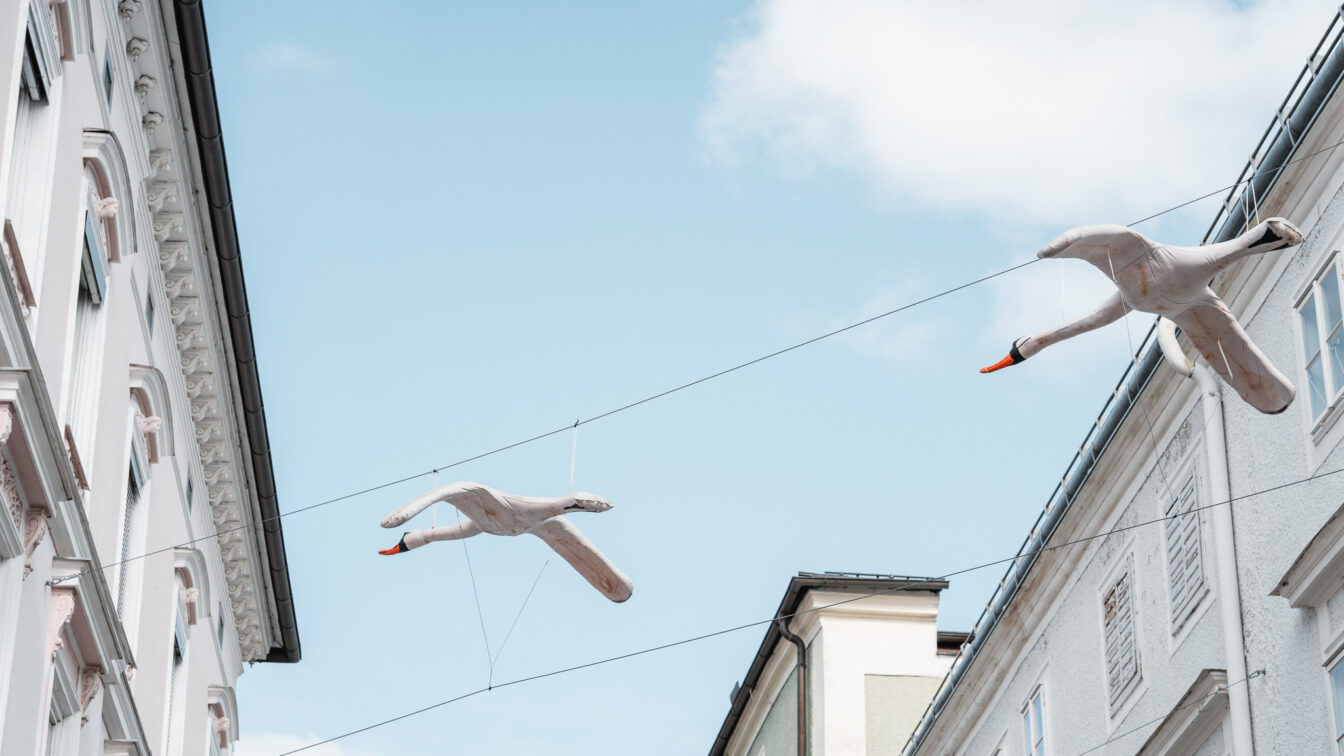 Schwäne über Gmunden, Kunstinstallation