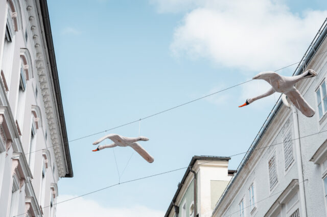 Schwäne über Gmunden, Kunstinstallation