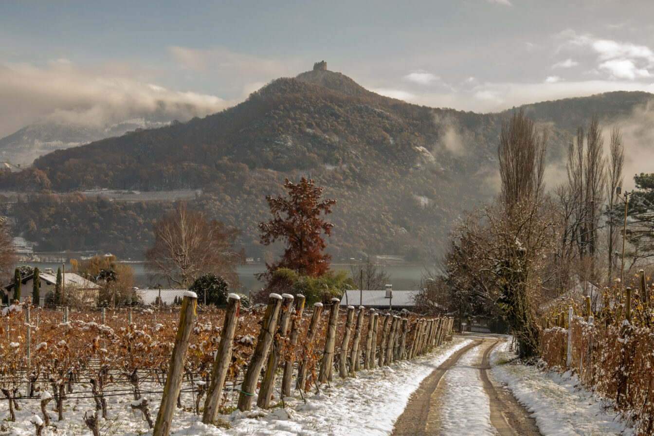 Verschneiter Weg durch Weinberge, dahinter ein Hügel mit einer Ruine auf dem Gipfel und winterlich gefärbtem Wald; im Hintergrund teilweise nebelverhangener Kalterer See.