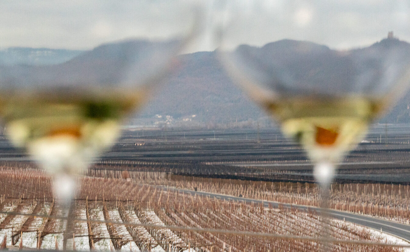 Blick durch zwei unscharfe Weingläser auf ein großflächiges, winterliches Weinbaugebiet und kurvige Straße; im Hintergrund Hügel mit einer kleinen Ruine sowie der Kalterer See.