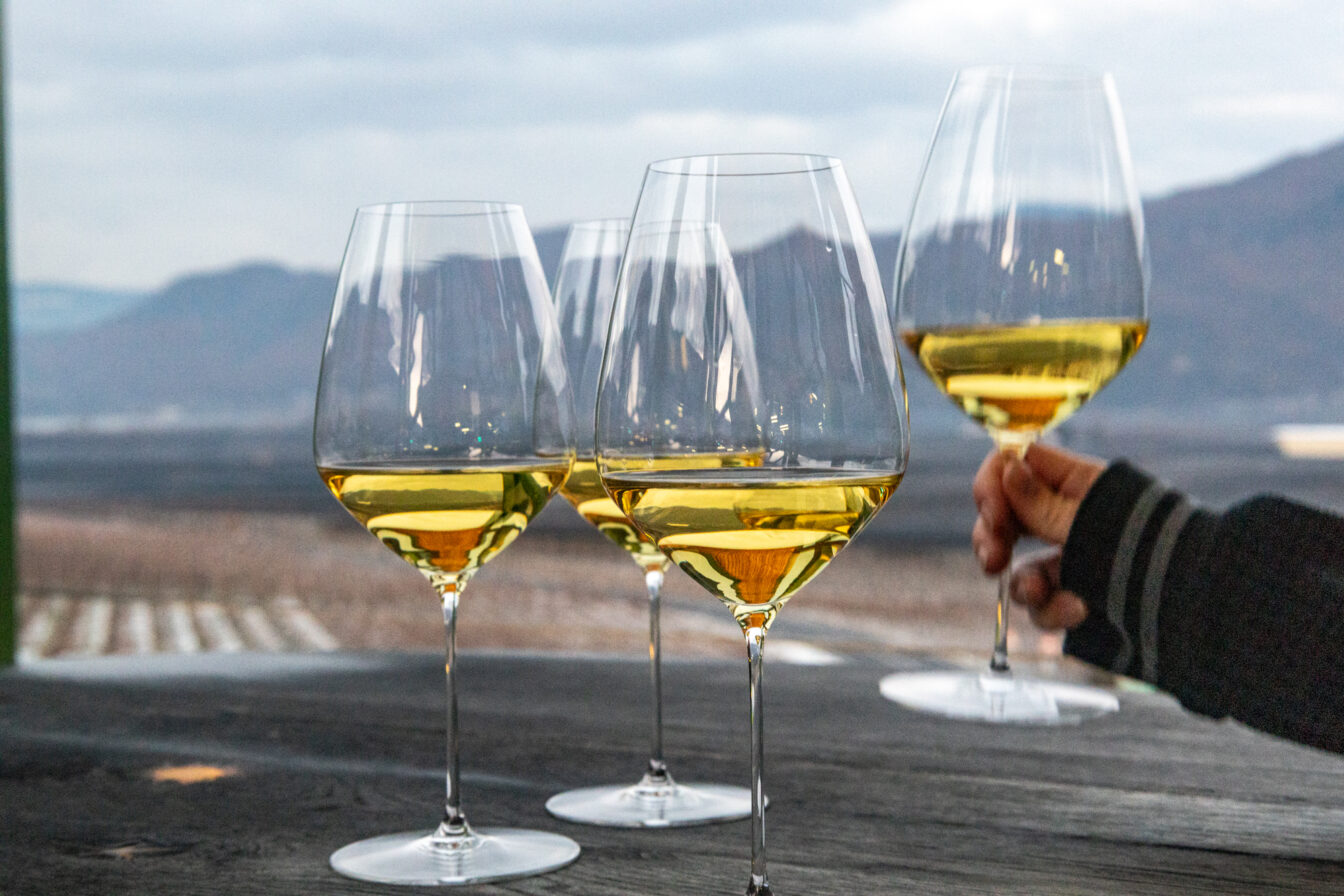 Vier Weingläser bei einer Vinothek am Kalterer See