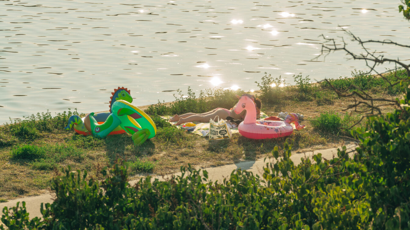 Ausstellungen Wien Museum 2026: Donauinsel