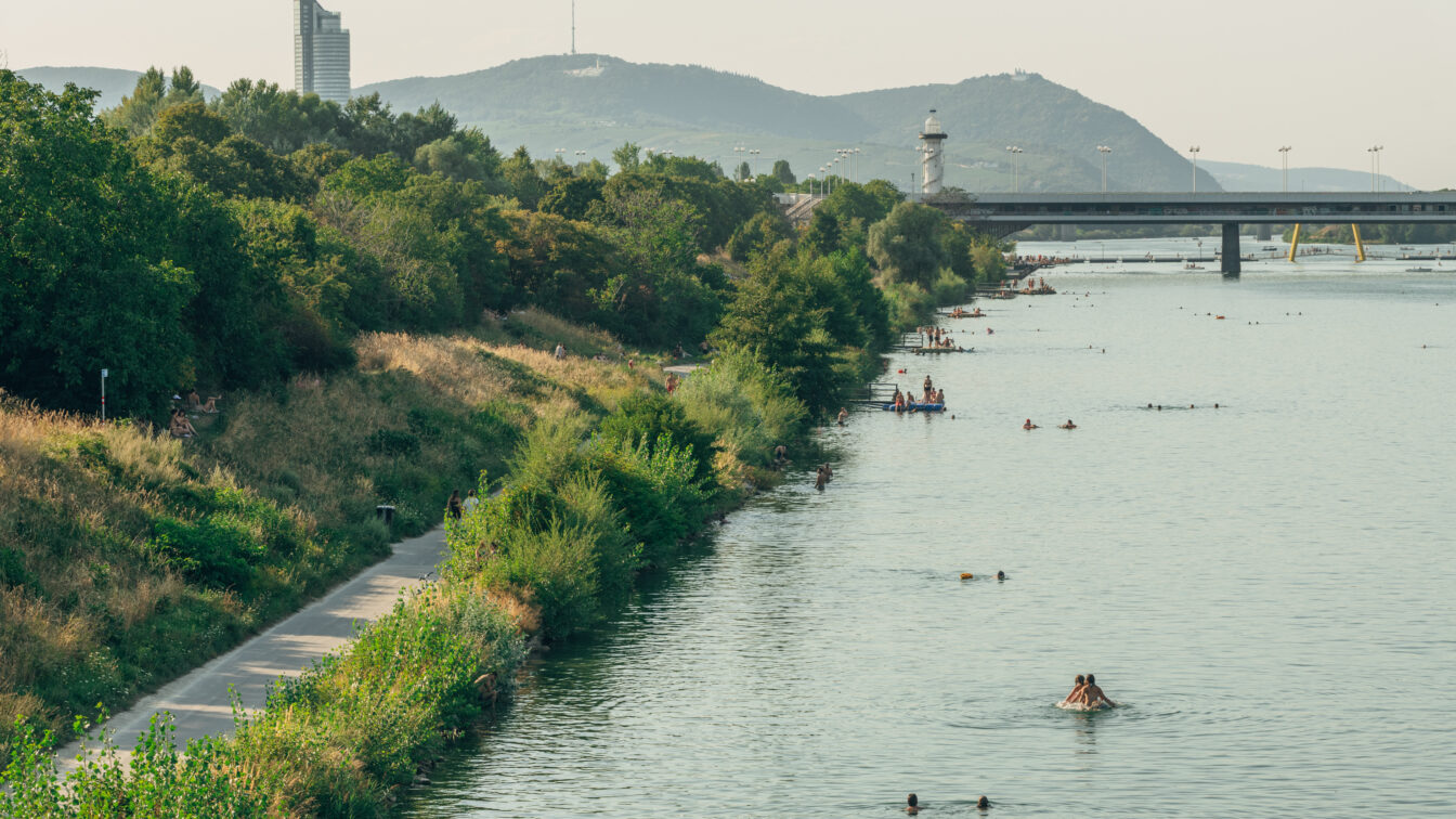 die Donauinsel in Wien im Sommer