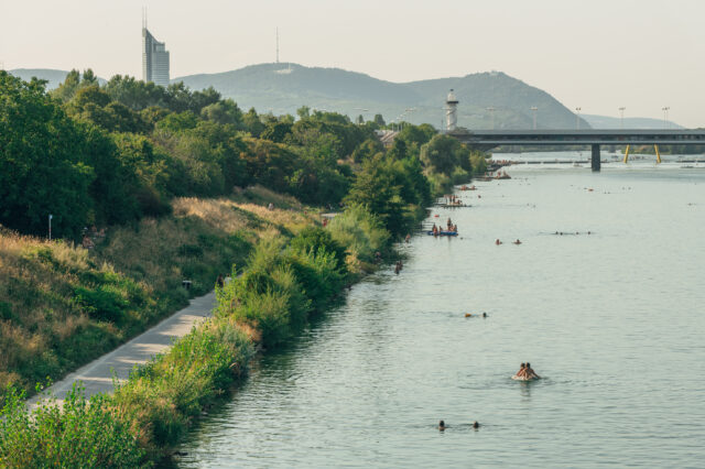 die Donauinsel in Wien im Sommer