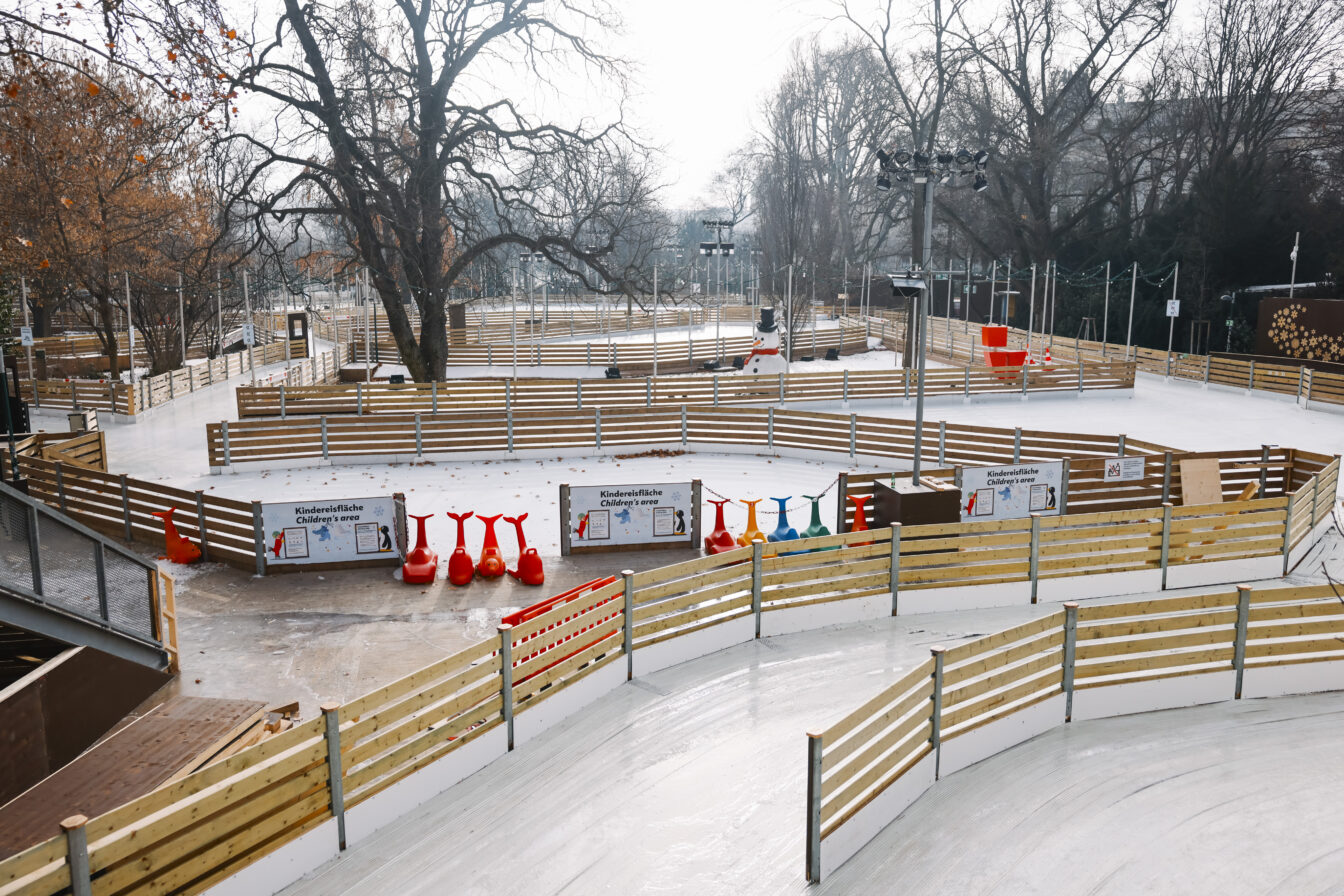 Bahnen am Wiener Eistraum am Rathausplatz 2026: Ein großes Event im Winter in Wien im 1. Bezirk