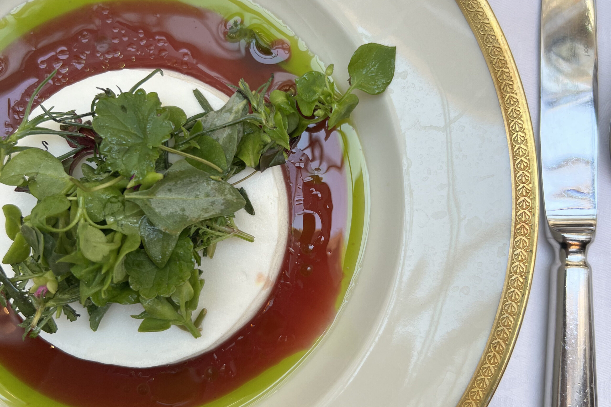 Bristol Vienna Lounge: Vegan Menu