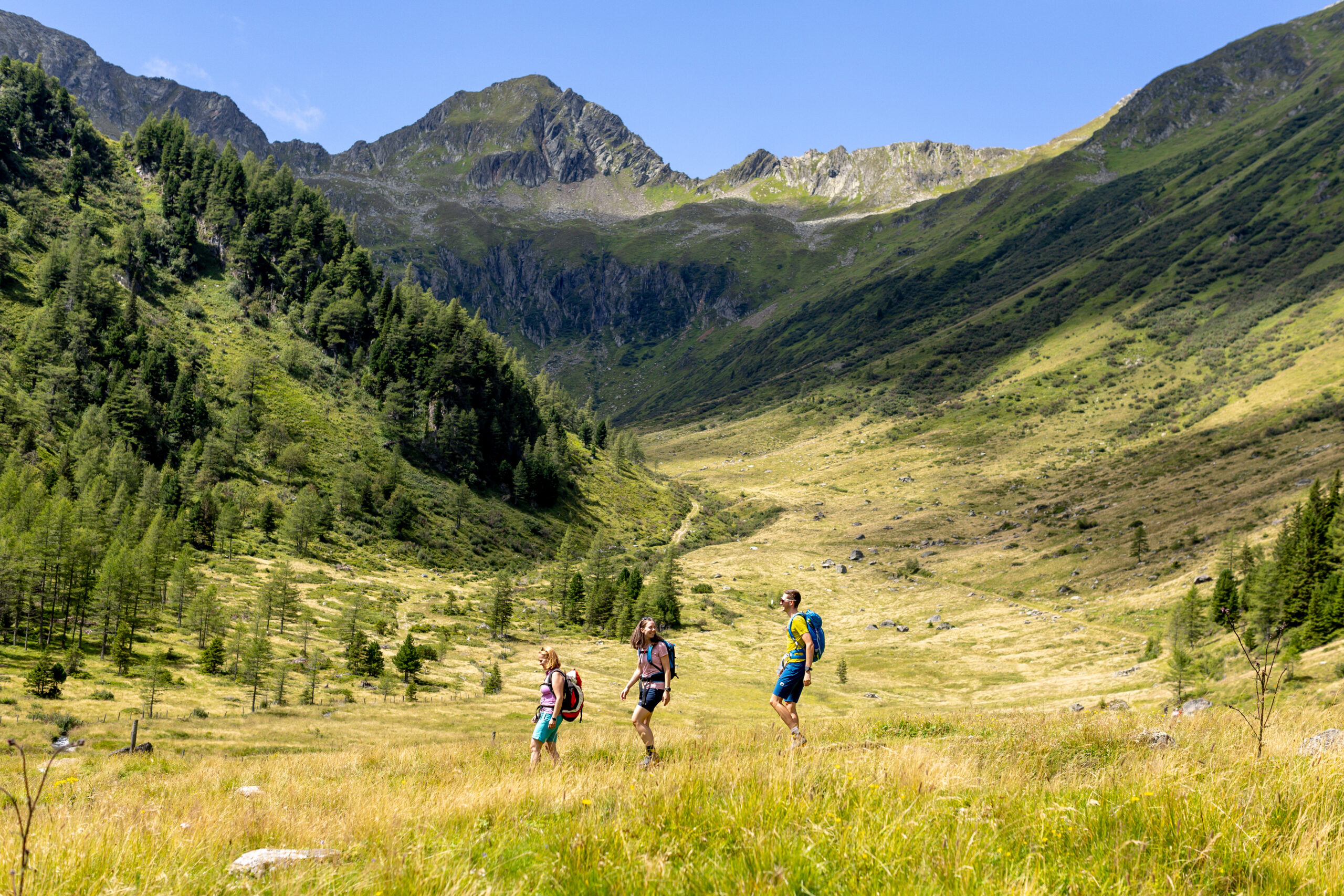 Drei Personen wandern durch ein sommerliches Tal, im Hintergrund sieht man einen Berggipfel