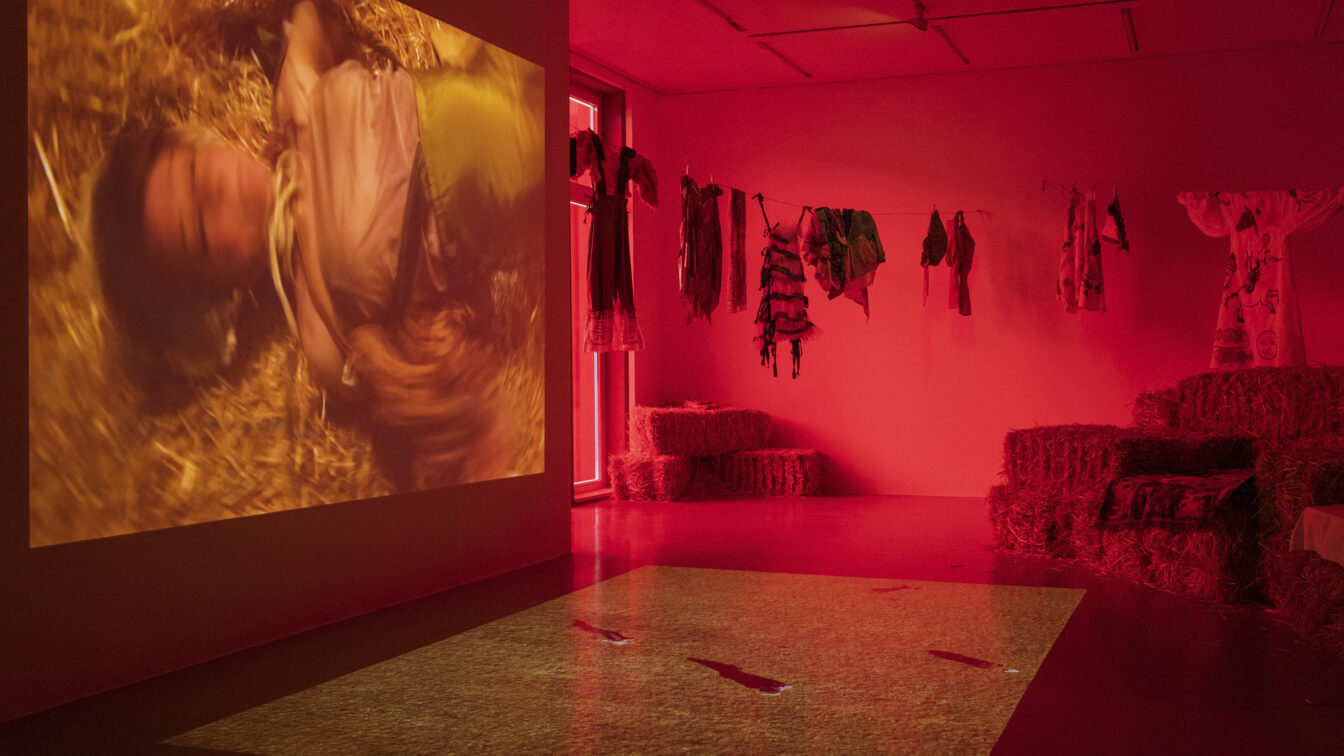 The Institute of Queer Ecology, Hysteria, 2023, Ausstellung, Klima Biennale 2026 Wien.