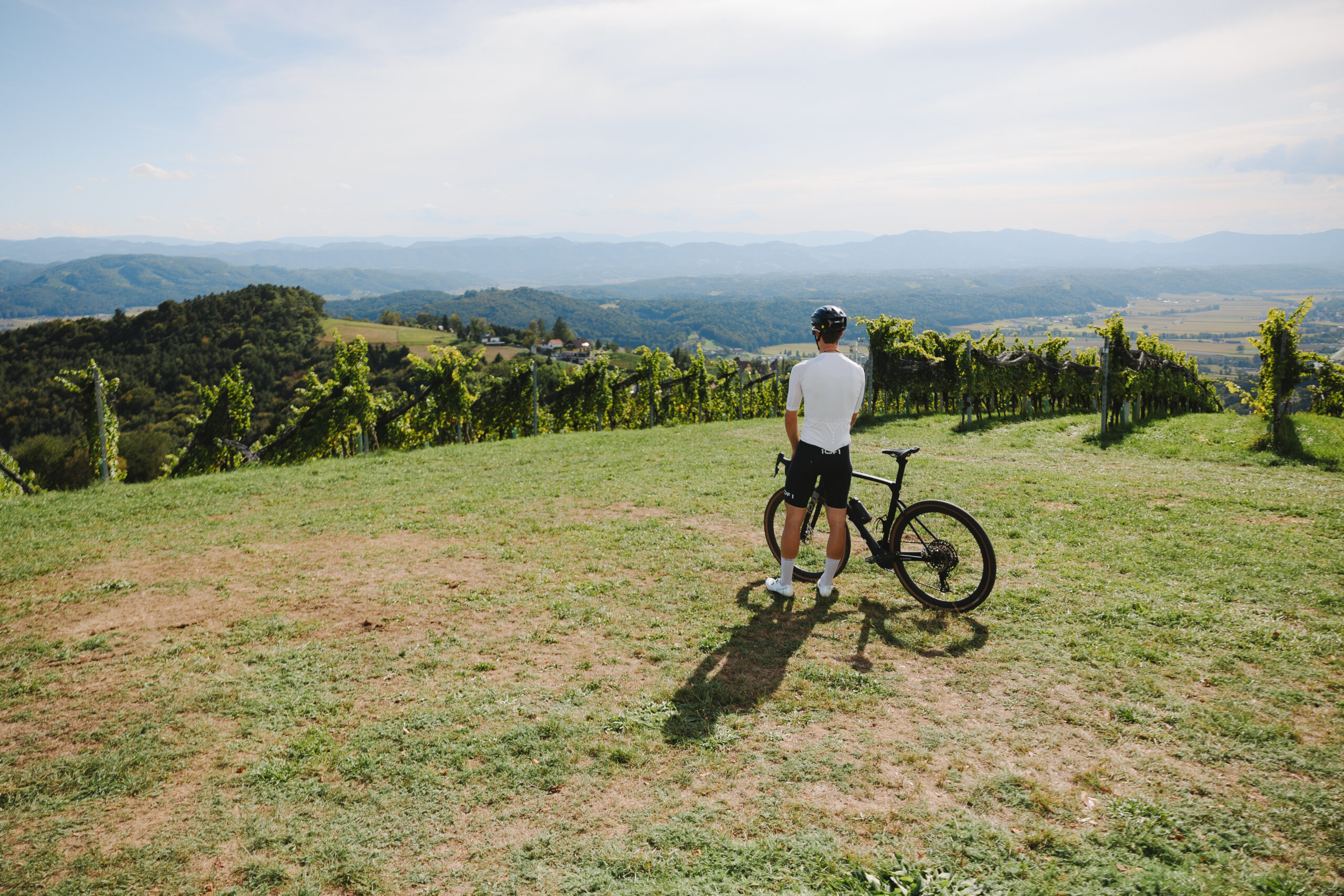 Ausblick über die Weinreben in der Südsteiermark