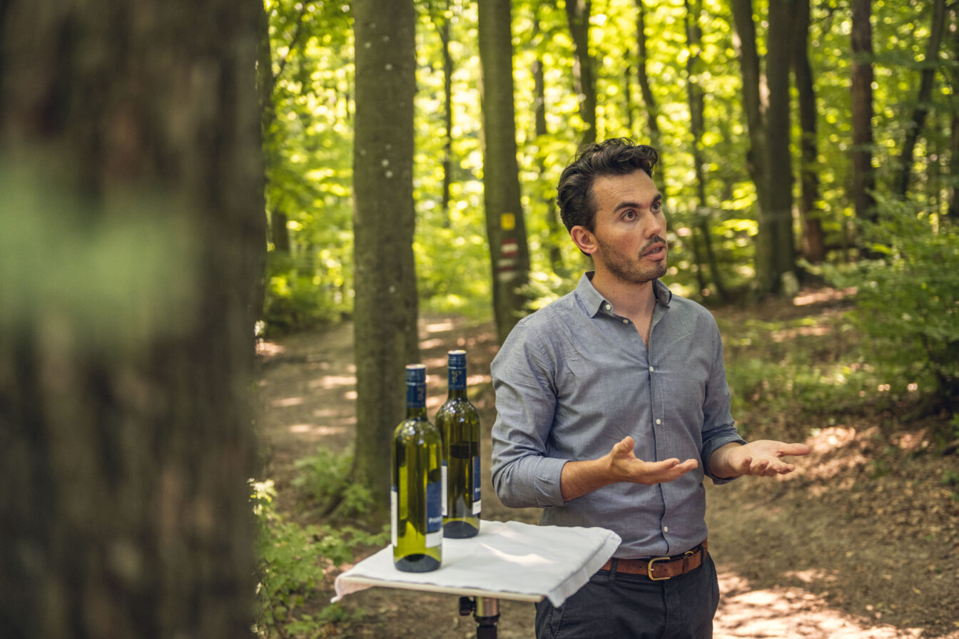 im Wienerwald findet eine Verkostung statt
