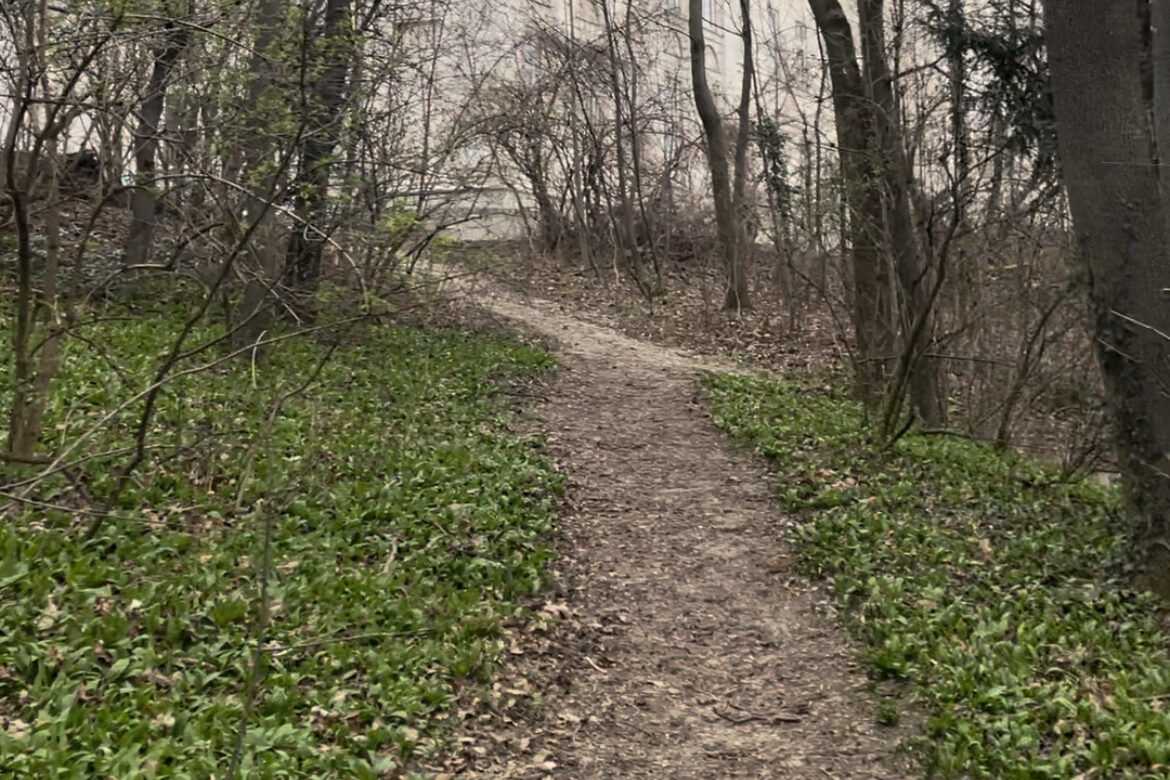 Bärlauch Pflücken in Wien: Das Schloss Wilhelminenberg im 16. Bezirk, 1060