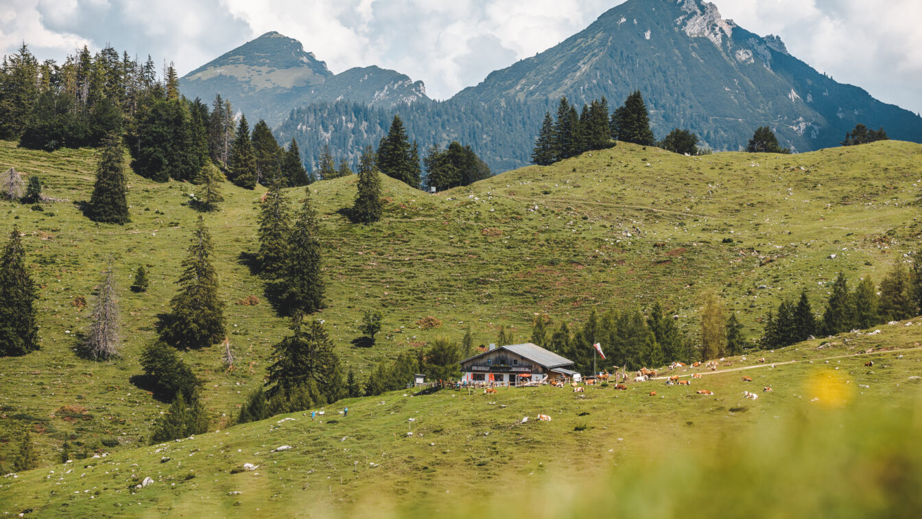 Kaisergebirge in Tirol (c) Mathäus Gartner
