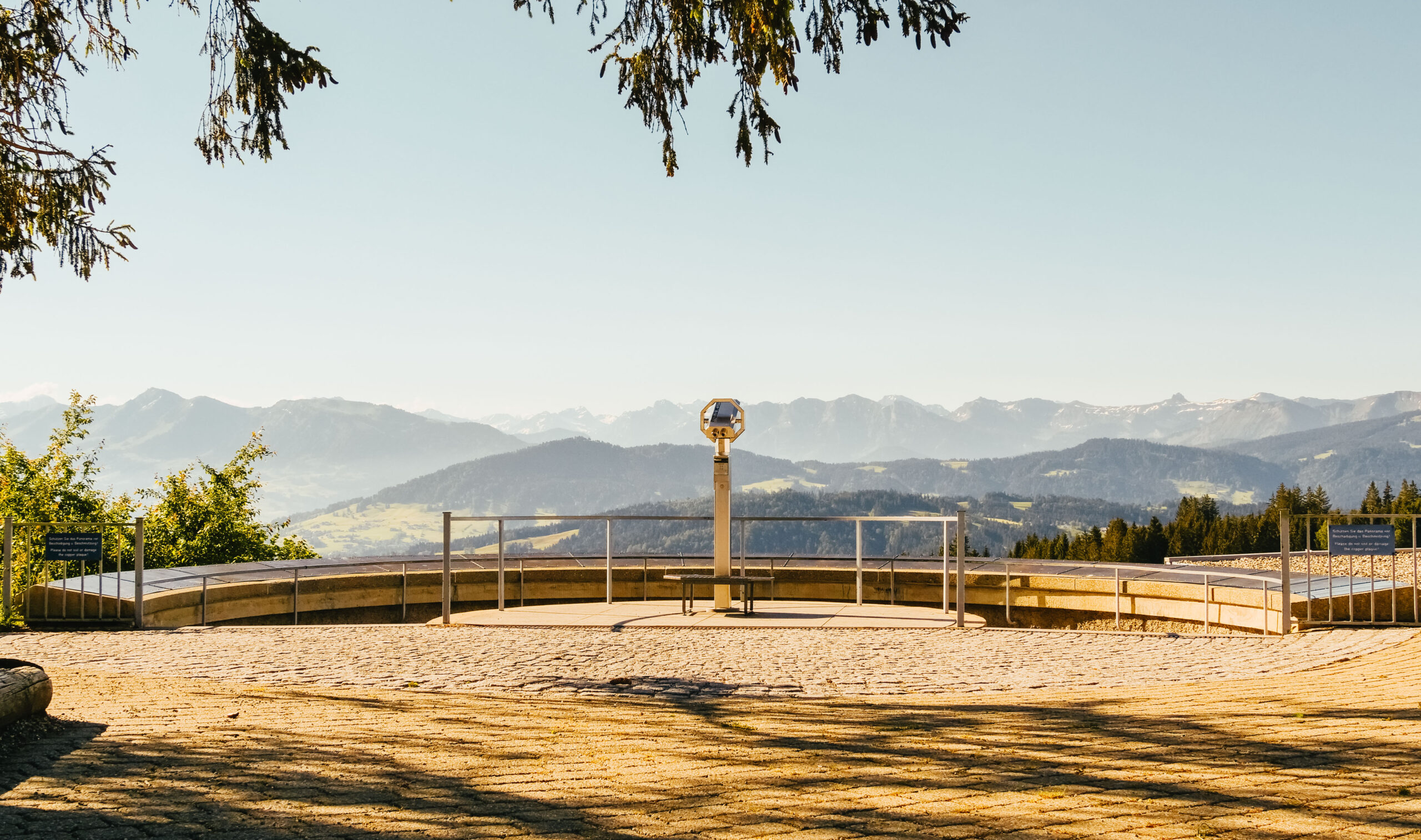 Pfänderausblick in den Wald in Bregenz.