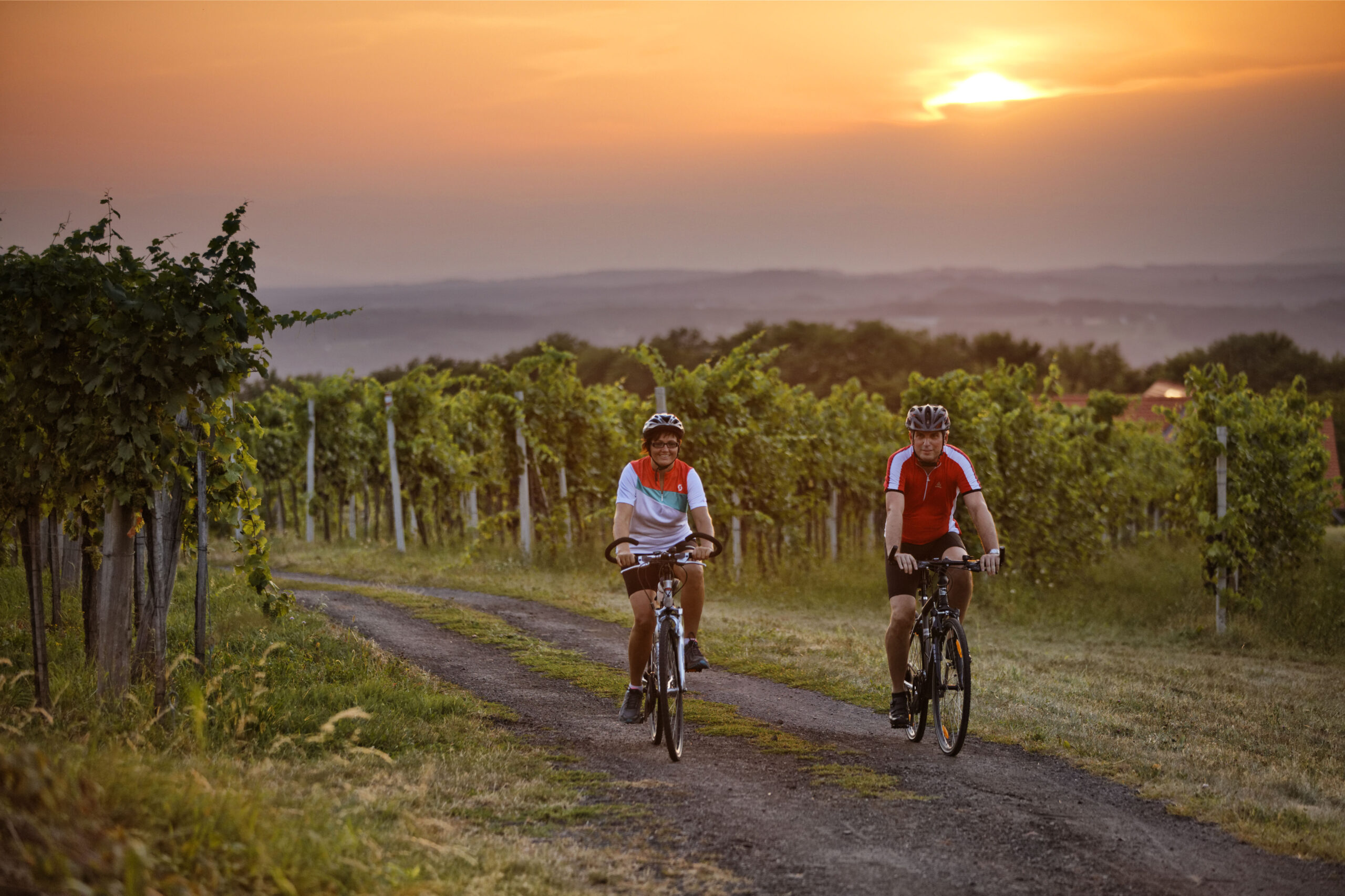 Radfahren in den Weinbergen (c) Thermen- & Vulkanland | Bernhard Bergmann