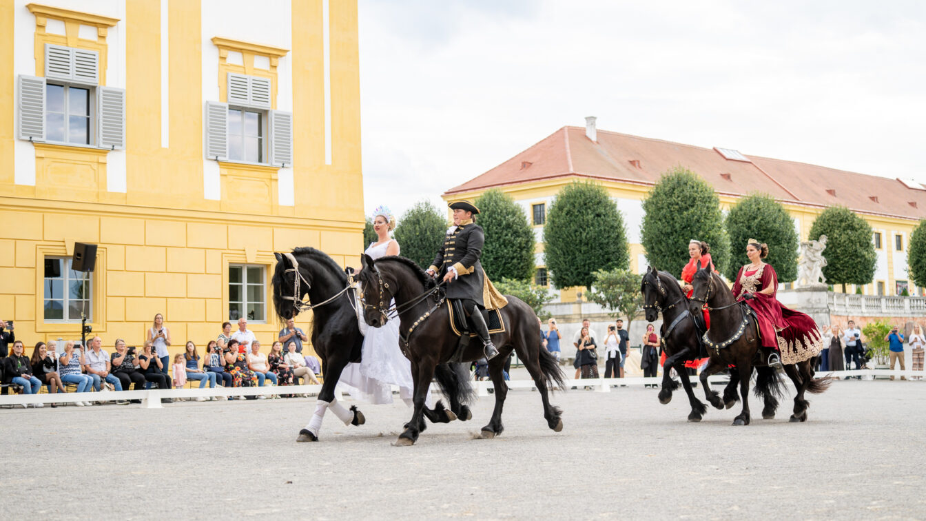 Pferdeshow auf Schloss Hof