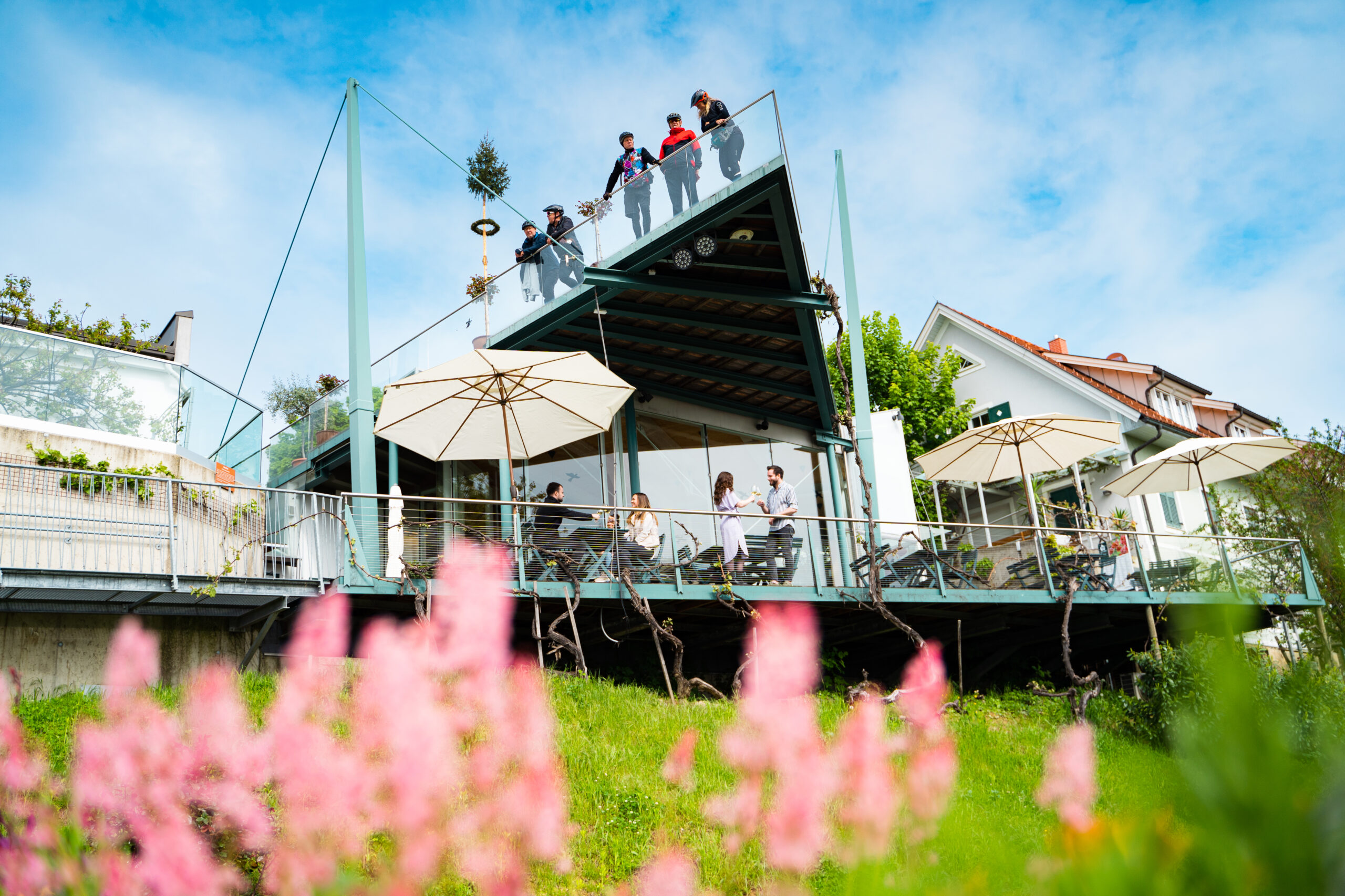 Vinothek (c) Thermen- & Vulkanland | Fabian Trummer