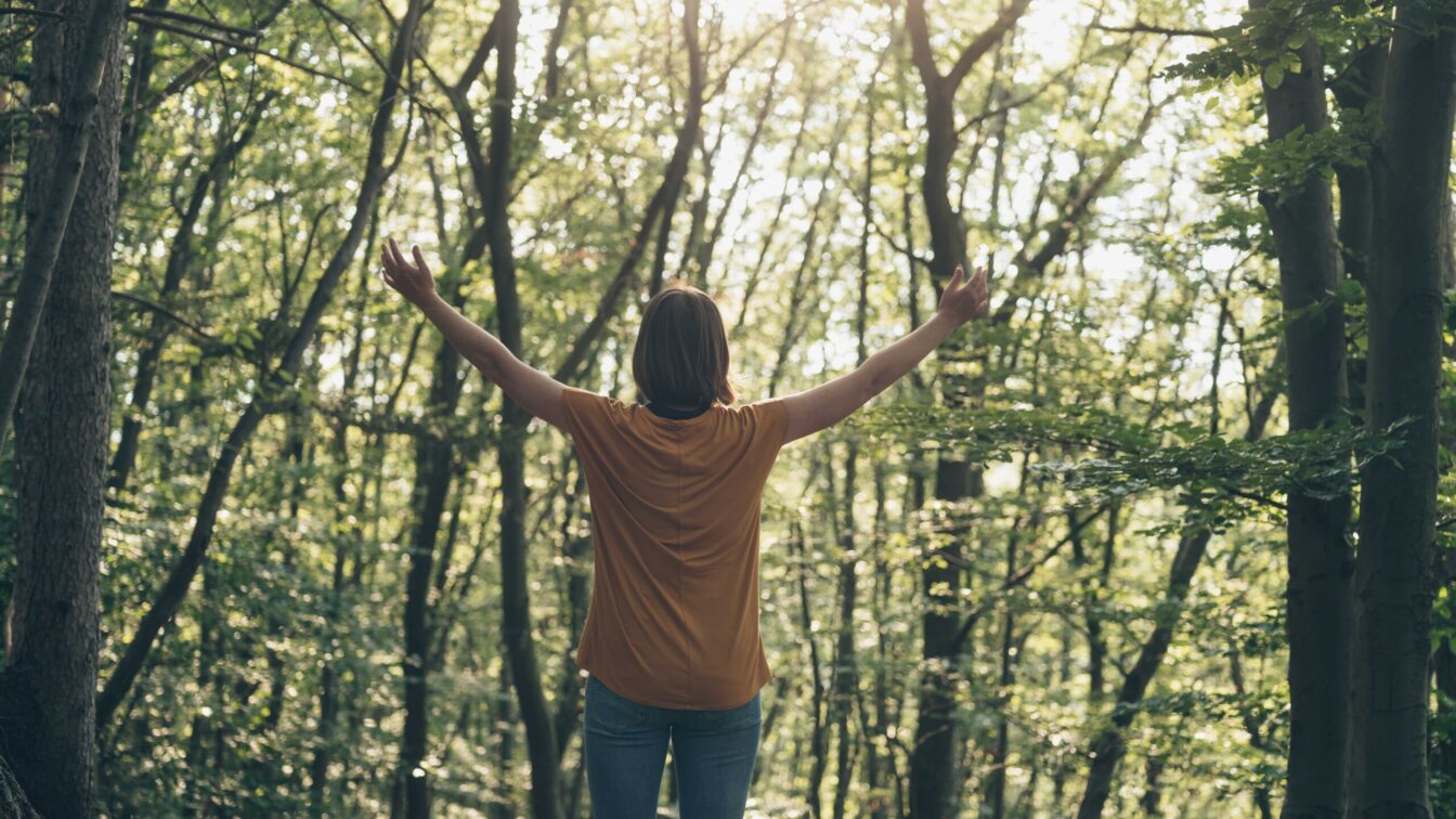eine Person beim Waldbaden im Wienerwald