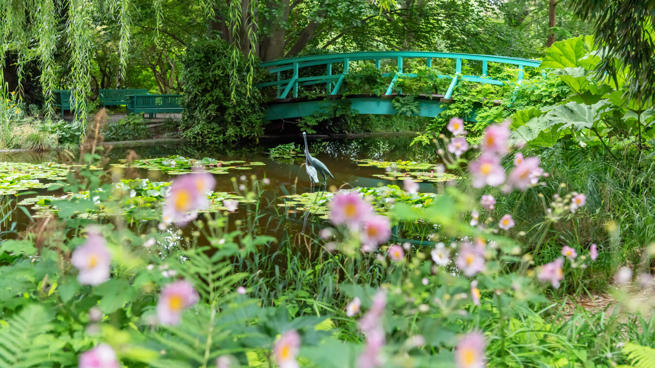 Ansicht vom Garten: Der Schulgarten Kagran hat ab Donnerstag, den 2. April 2026, wieder für alle Besucher*innen geöffnet!