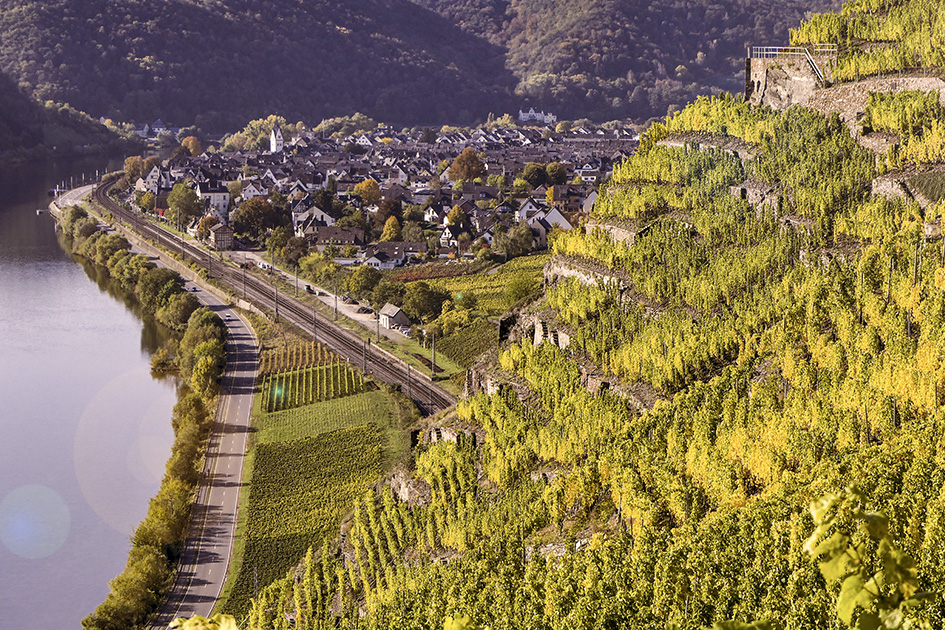Aussicht auf die steilen Weinberge in Winningen in Rheinland Pfalz.