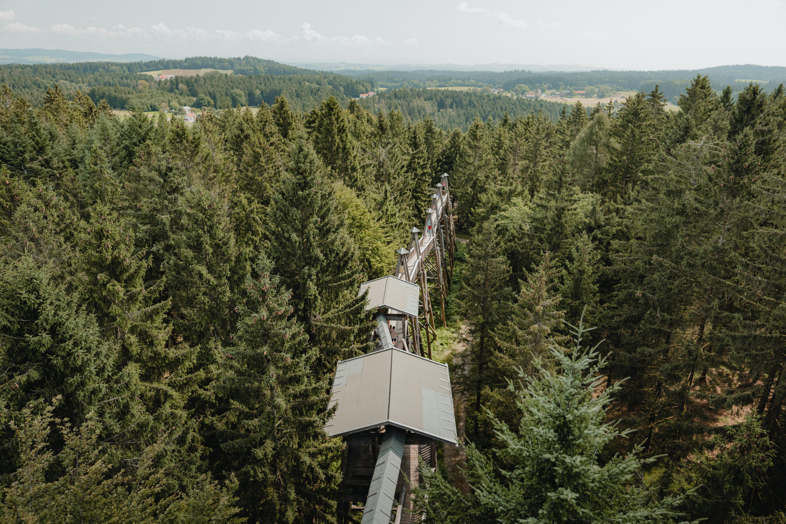 Aus der Vogelperspektive: ein Wald mit einem Baumkronenweg in Kopfing, auf der Radroute durch den Sauwald in Oberösterreich. 