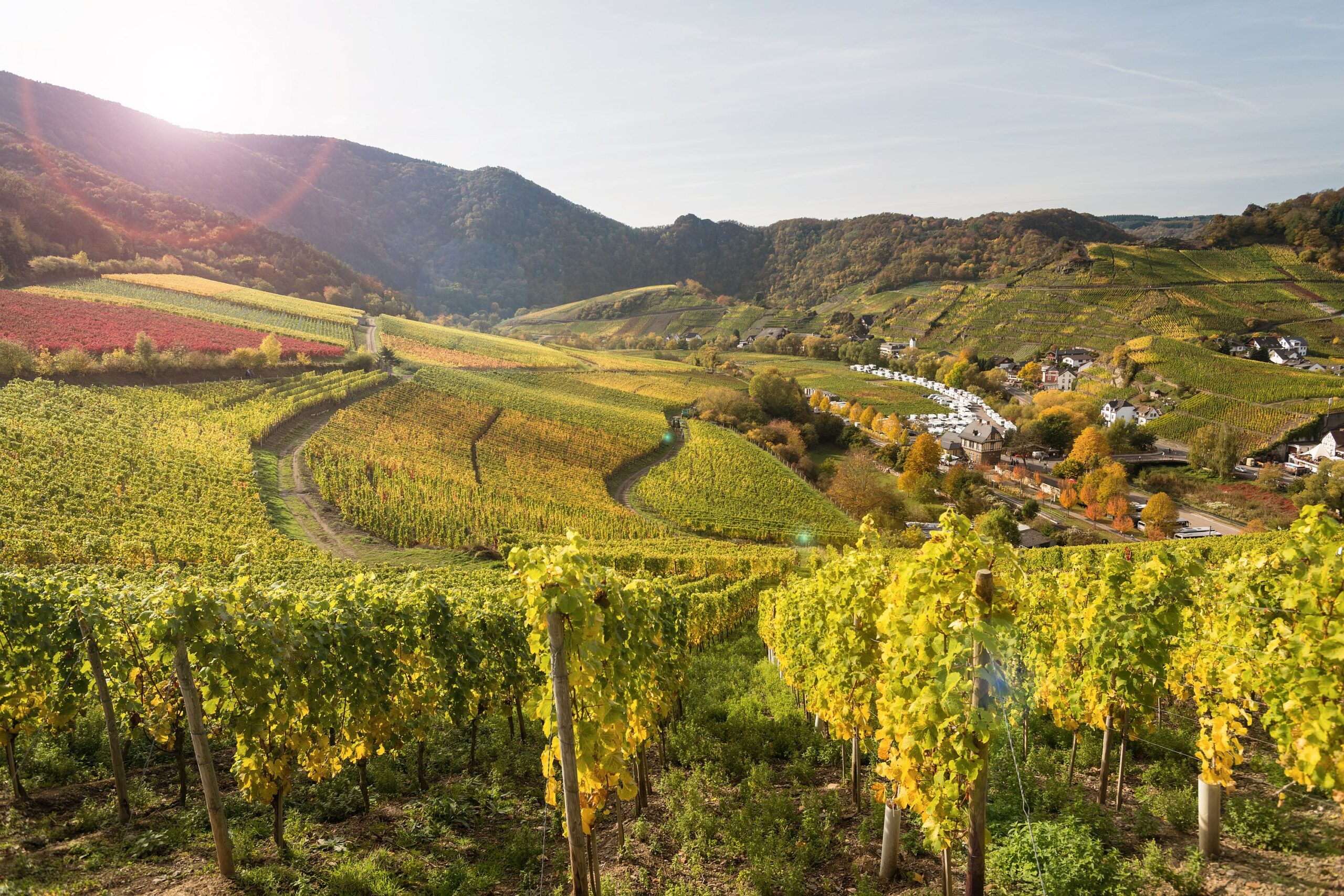 Blick über das herbstliche Ahrtal in Rheinland Pfalz
