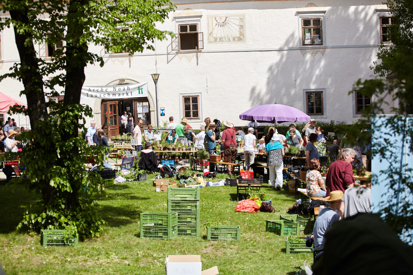 Jungpflanzen-Verkauf vom Verein Arche Noah in Schiltern in Niederösterreich