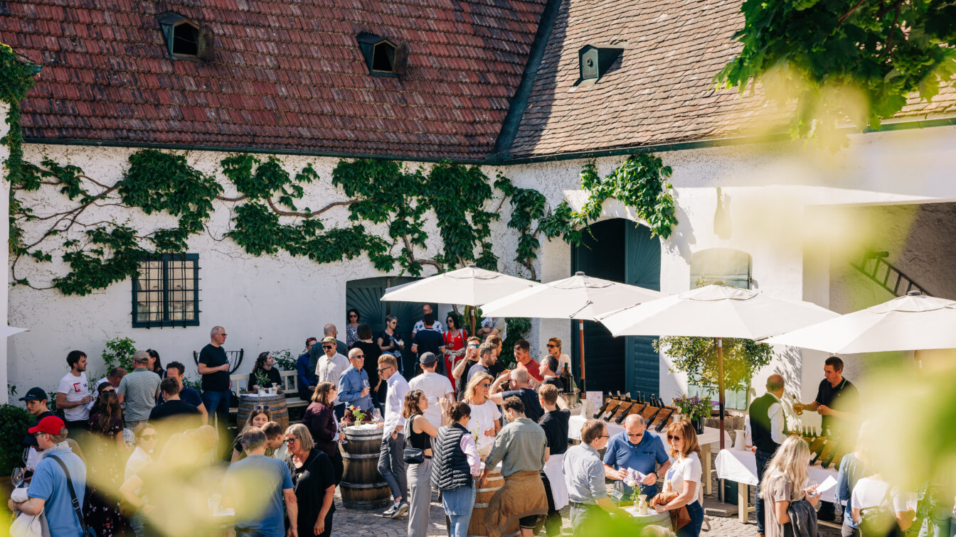 zahlreiche Menschen stehen im Innenhof eines Weinguts und verkosten bei der Tour de Vin Weine